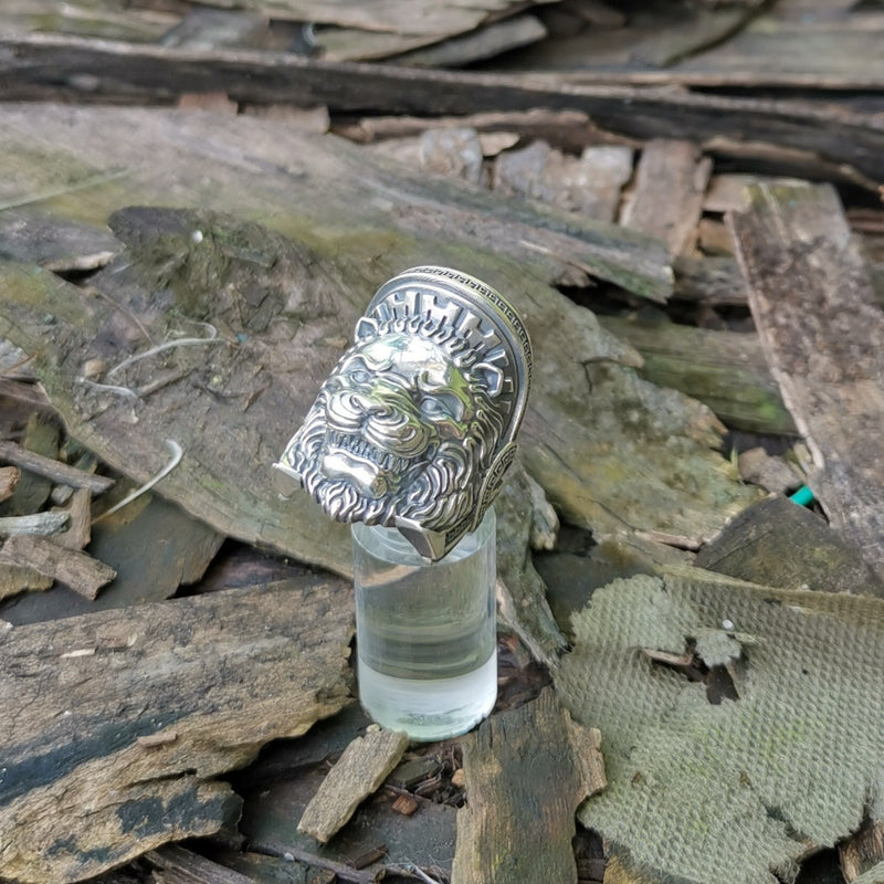 スパルタの獅子