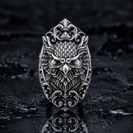 Framed Owl