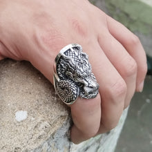 Zhulong Dragon