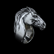 Lunar Fire Horse