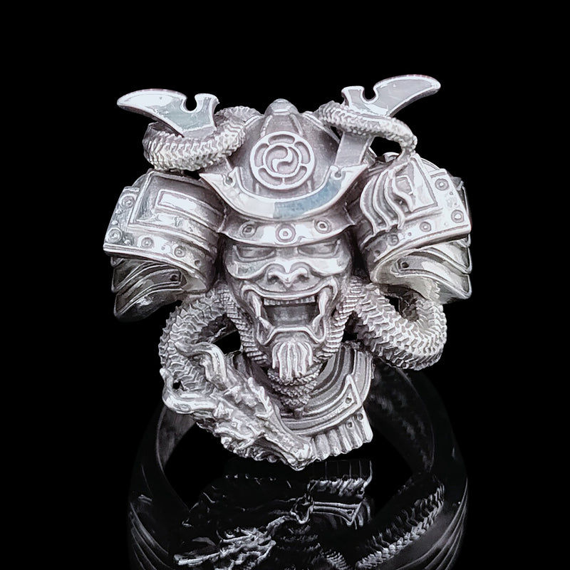 侍ドラゴン