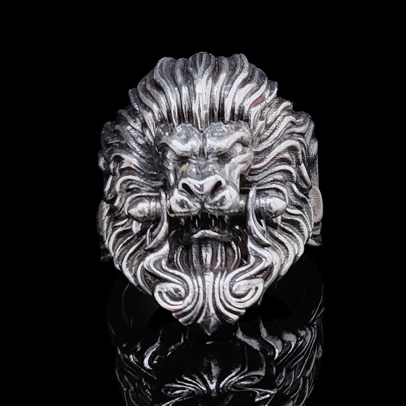 Lion Door Knocker