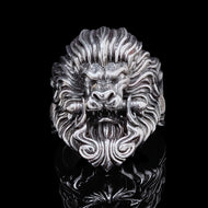 Lion Door Knocker