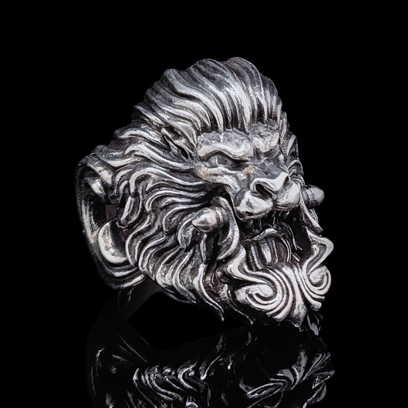 Lion Door Knocker